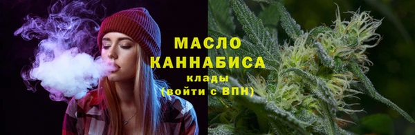 хмурый Няндома