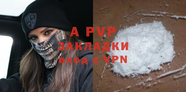 стаф Новозыбков