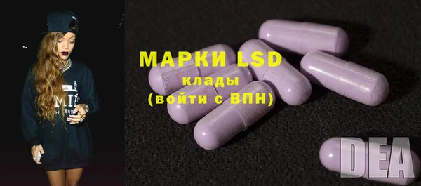 хмурый Няндома