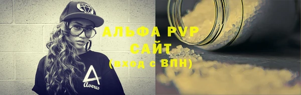 хмурый Няндома