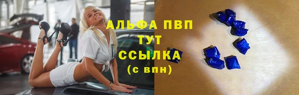 хмурый Няндома